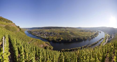 Weingut Rebenhof in Ürzig, Deutschland