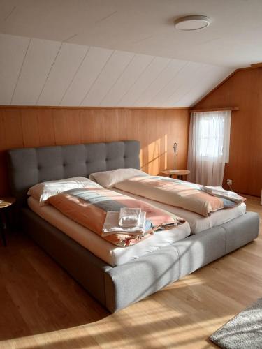 2 king beds, 1 sofa bed