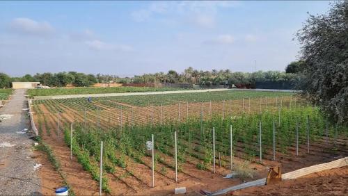 2 BHK VILLa in Dhaid