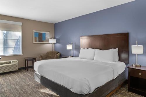 1 king bed