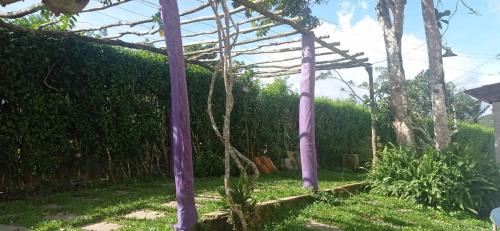 Dārzs, Casa na Serra in Mulungu