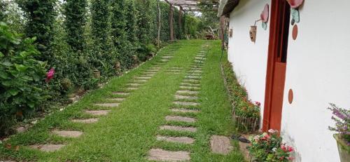 Dārzs, Casa na Serra in Mulungu