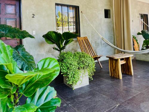 Dos Palmas in 拉利伯塔德