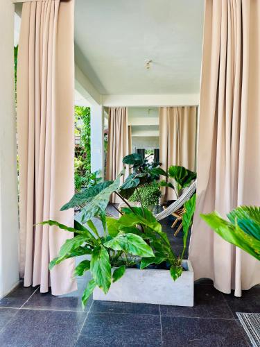 Dos Palmas in 拉利伯塔德