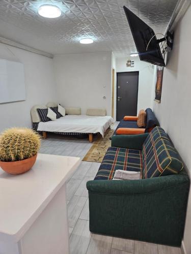 BOMBA Apartman in Targu Secuiesc