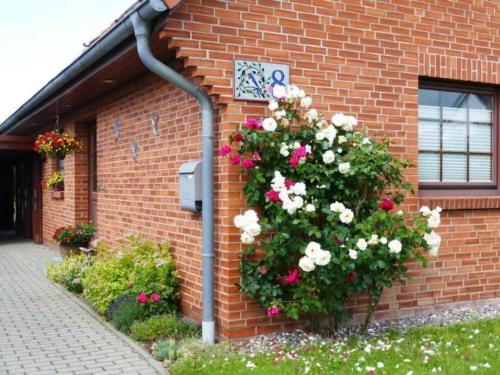 Apartment Schwalbenring by Interhome in Rovershagen