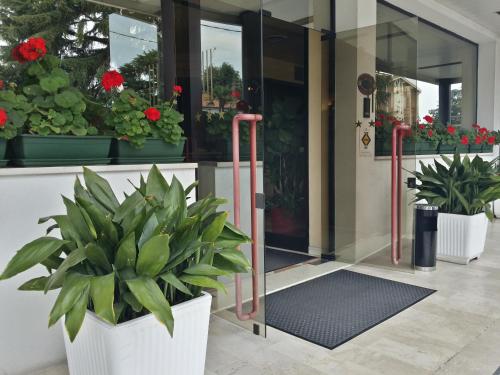 Hotel Raffaello - image 4