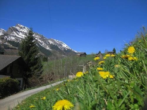 Holiday Home Weissenberge Gfell by Interhome in Matt