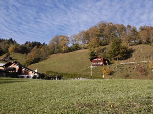 Holiday Home Weissenberge Gfell by Interhome in Matt