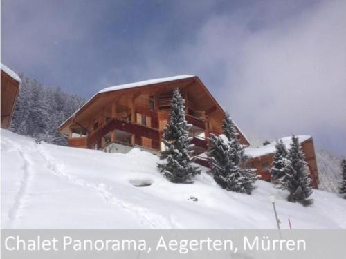 Apartment Panorama 2 Bett Wohnung by Interhome in Mürren, Schweiz