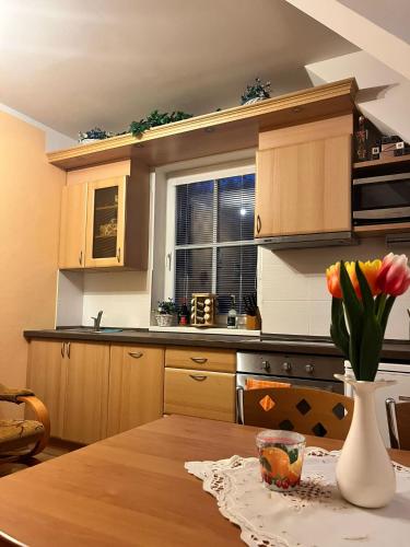 Kitchen, Apartman u sjezdovky Chata Alfa - Cerny Dul in Cerny Dul