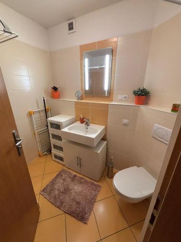 Bathroom, Apartman u sjezdovky Chata Alfa - Cerny Dul in Cerny Dul