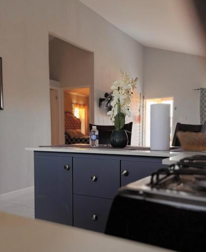 New Cozy Entire home 2 Bedroom- AC, Wifi, 24 hour Security in Private Gated Community in Old Harbour