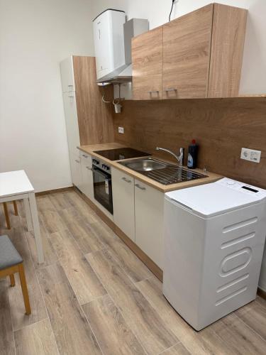 Schone Wohnung im Helenental in 巴登市中心