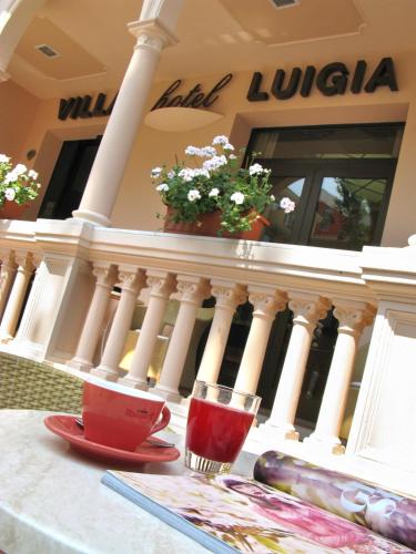 Hotel Villa Luigia - image 2
