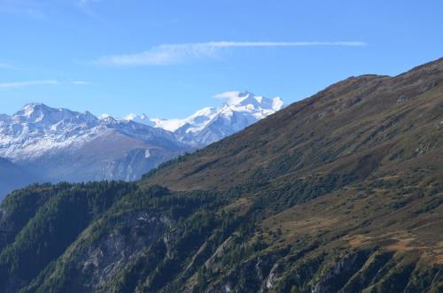 Malva - Apartment - Belalp-Blatten-Naters