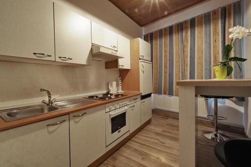 virtuve, Hofmanns B&B in Loosdorfa
