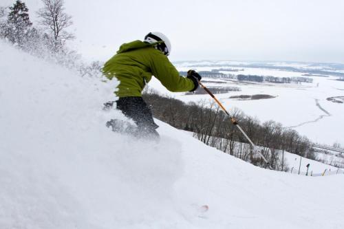 Chestnut Mountain Resort