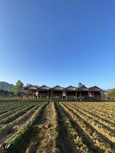 Guesthouse and Restaurant SayLomYen KongLor in Caverna Kong Lor