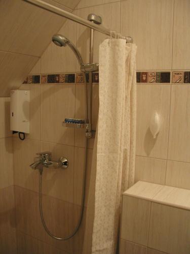 Roxane Panzio, Budapest (photo 3)