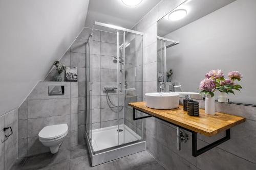 Villa 84 & Apartments - Sauna & Jacuzzi, Zakopane (fotografie 6)