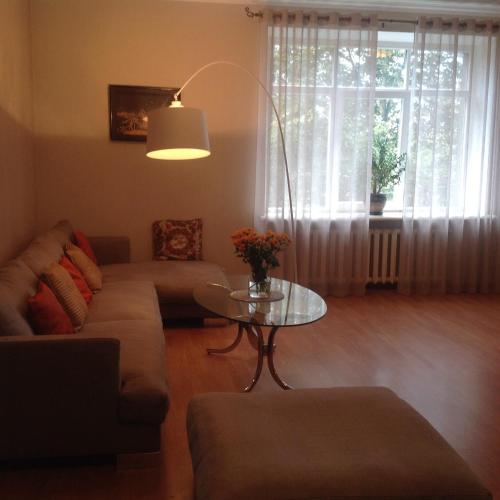 Apartment on Riepnieku Street