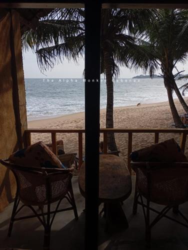 The Alpha Monkey hotel & Tree house in Tangalle