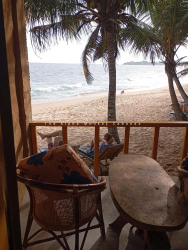 The Alpha Monkey hotel & Tree house in Tangalle