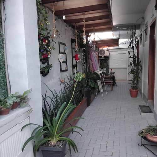 Rosa dos ventos suíte 2 (Rosa dos ventos suite 2) in 孔塞桑湖