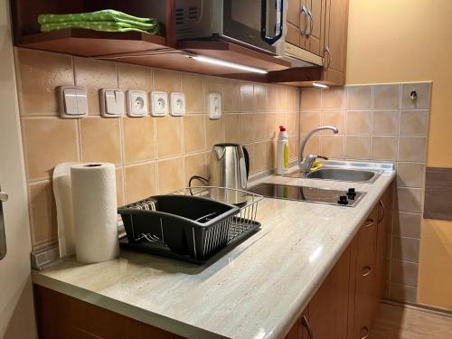 virtuve, Apartmán Ramzová - naRamzovou (Apartman Ramzova - naRamzovou) in Ostruzna