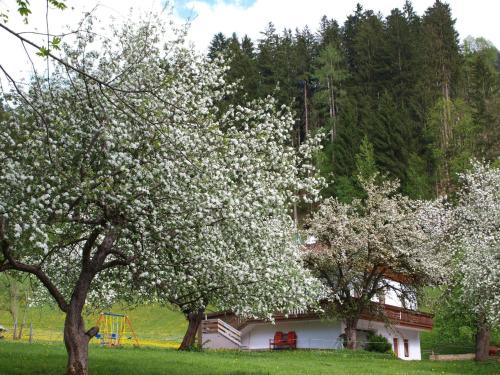 Holiday Home Haus der Natur by Interhome in Hart im Zillertal, Österreich