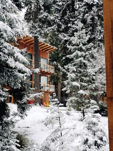 ECHIVITI Cottages in Abastumani in Abastumani