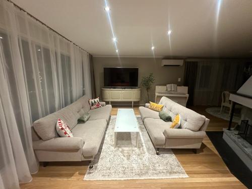 Magnhilds Luxury Apartment in Otta