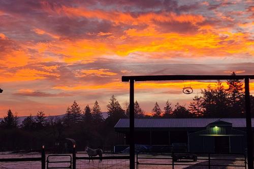. Willamette Valley Home on Working Horse Farm!
