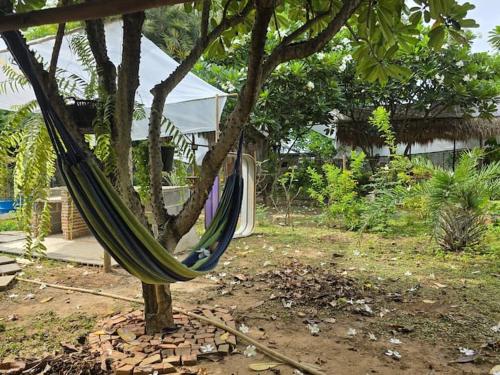Faiza Farm home in Tha Muang
