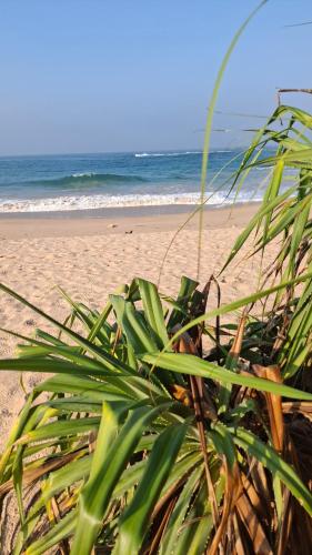 Jana Sri Lanka Villa Ambalangoda 2 – khách sạn tại Bãi biển Ambalangoda