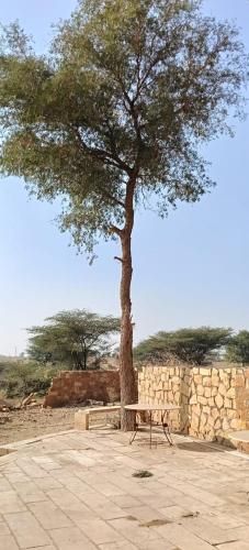 The Khejadi Farm Stay