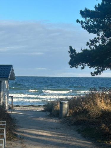 Seepferdchen in Timmendorfer Strand, Deutschland