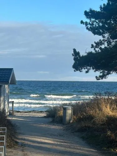 Seepferdchen in Timmendorfer Strand, Deutschland