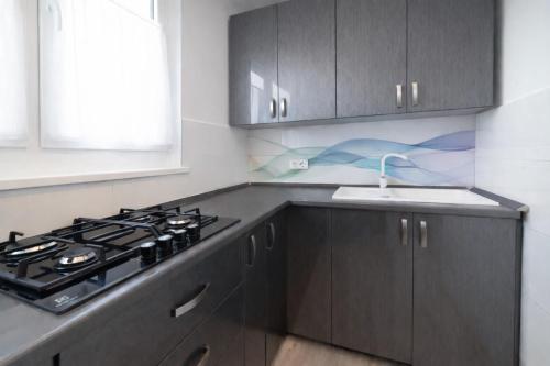 Konyha, Comfort 66 Large Family City Home in Miskolc Városközpont