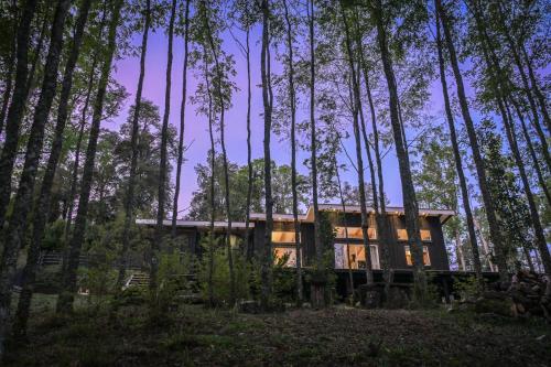 Casa en el Bosque Futrono