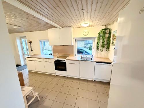 Amtoft Vig Kitespot in Vesløs