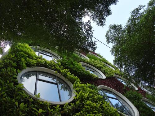 Flora by Crossroads Hotel, Kuala Lumpur (fotografie 10)