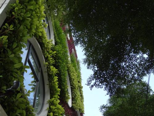 Flora by Crossroads Hotel, Kuala Lumpur (fotografie 9)