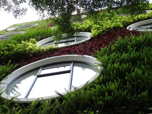 Flora by Crossroads Hotel, Kuala Lumpur (fotografie 8)