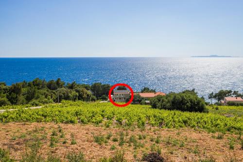 Family friendly seaside apartments Dingac - Borak, Peljesac - 18060 - Location saisonnière - Potomje