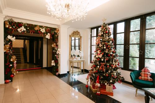 大厅, Hotel Royal Plaza By TimHotels in 蒂米索拉
