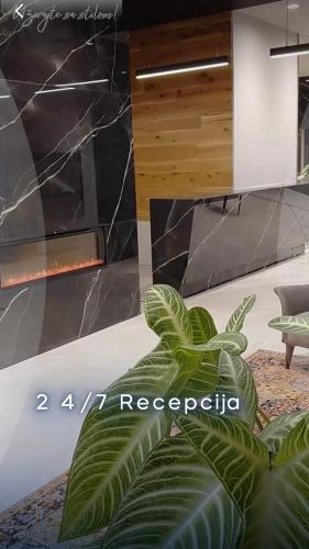 Vestibule, Aria Skyhill Jahorina- Poljice- with free garage in Jahorina