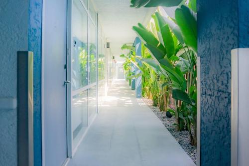 Facilities, DASKK Orlando Hotel near Universal Blvd, an Ascend Collection Hotel in Orlando (FL)