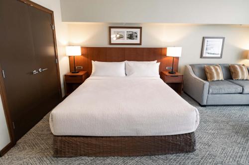 Studio Suite, 1 King Bed, Sofa Bed